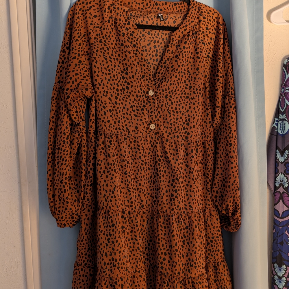 Chic Leopard Print Long Sleeve Dress